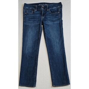 American Eagle Stretch Low-Rise Artist Crop Jean